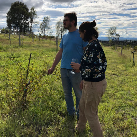 Q&A con Cava Garambullo - Salvaje Vinos
