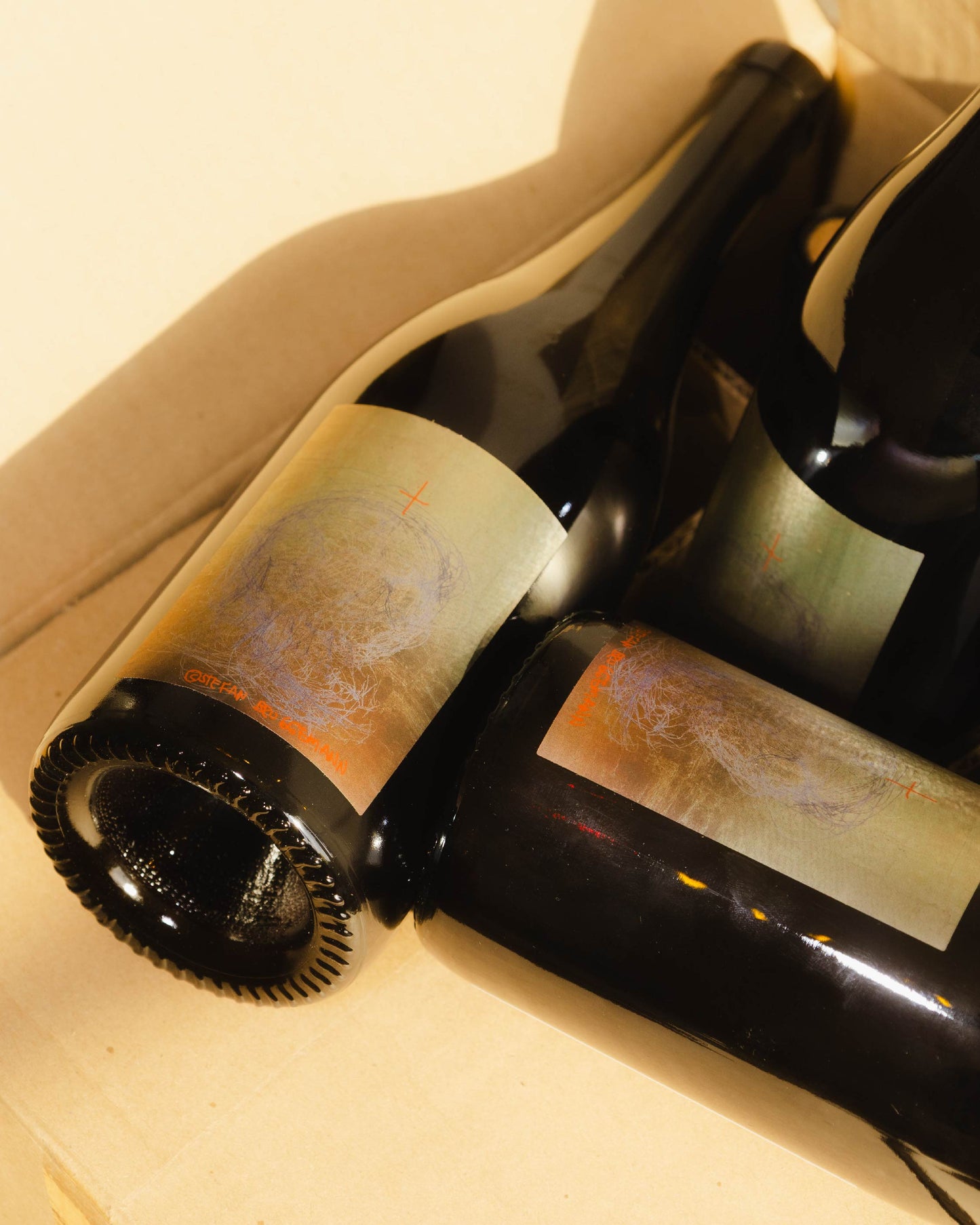 Vino Salvaje 2024