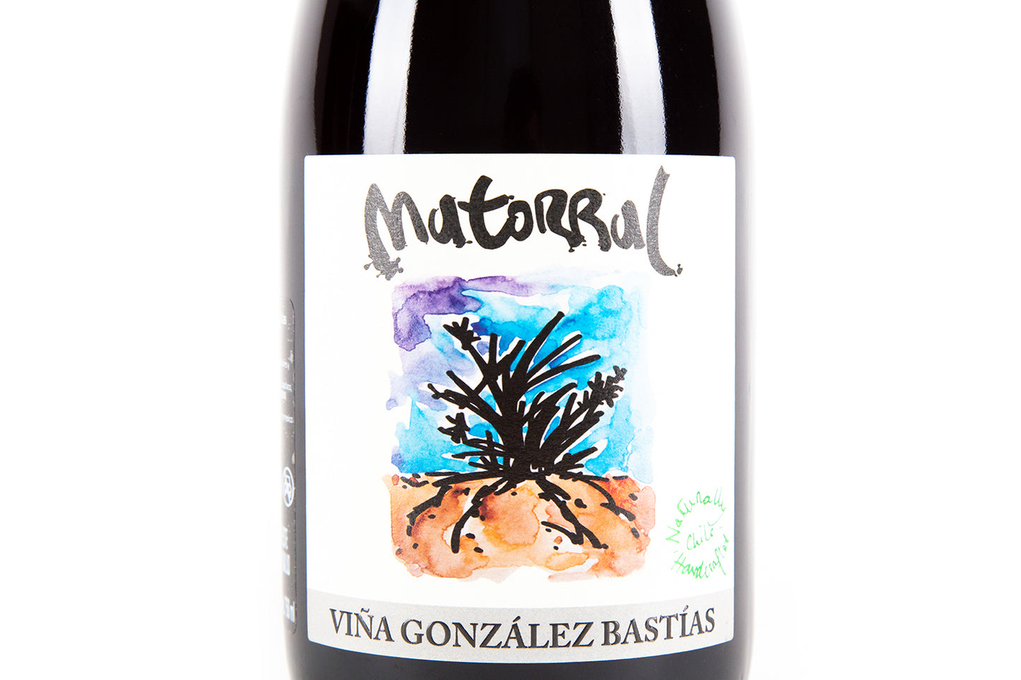 Matorral 2019