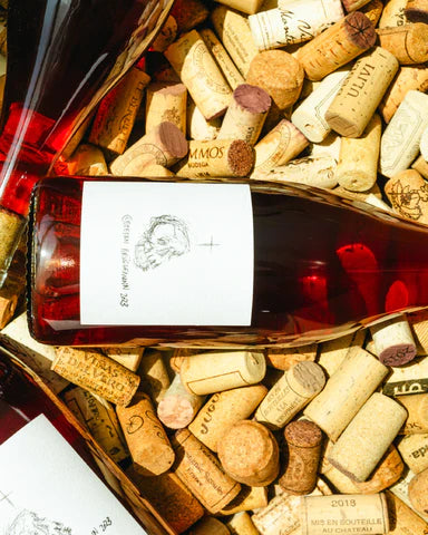 Nuestro primer Vino Salvaje