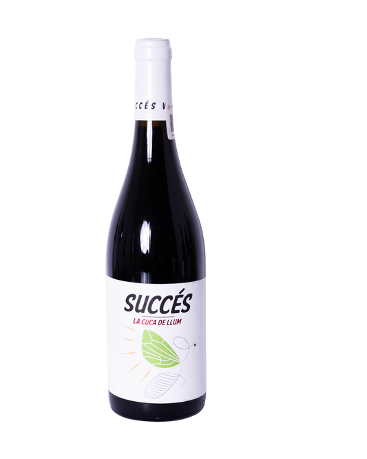 La Cuca de Llum 2019