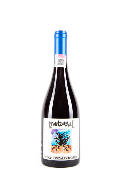 Matorral 2019