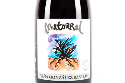 Matorral 2019