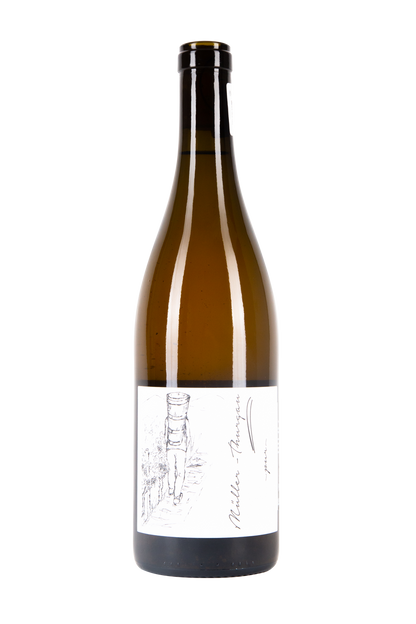 Brand Bros, Muller thurgau, skin contact, maceracion , vino blanco, vino naranja, orange wine, natural wine, vino natural, salvaje vinos, nuovaterra, vino italiano, comprar vinos, tienda de vinos