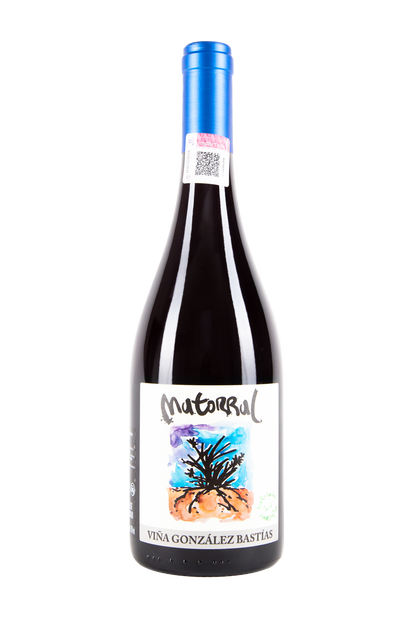 Matorral, Viña González Bastías, Vino Chileno, Vino Natural, Salvaje Vinos