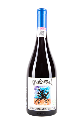 Matorral, Viña González Bastías, Vino Chileno, Vino Natural, Salvaje Vinos