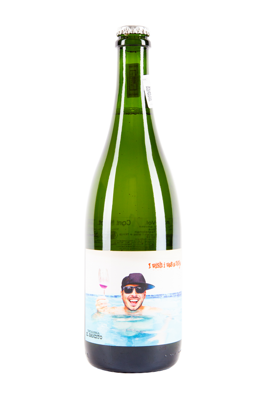 I wish i was a Ninja 2020, Testalonga, Vino de Sudáfrica, Vino Natural, Vino Salvaje, Salvaje Vinos, Petnat, Pét nat, vinos chidos