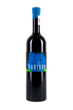 Cargar imagen en el visor de la galería, Ribolla- Radikon- Orange Wine- Vino Naranja- Vino Natural- Friuli Wine- Vino del Friuli- Salvaje Vinos
