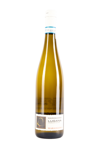 vino natural, marangona, lugana classico 2019, vino blanco, tienda de vinos online, comprar vino, mexico, salvaje vinos, natural wine