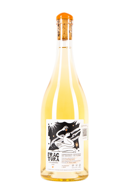fractura, colombard, daniel kelly, vino blanco, vino natural, natural wine, minima intervencion, low intervention, salvaje vinos, vino blanco