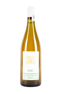 Denavolo, Catavela, Vino Blanco, Vino de Emilia Romana, Vino Italiano, Vino Naranja, Vino con maceración, Vino Natural, Vino Vivo, Vino Salvaje, Salvaje Vinos