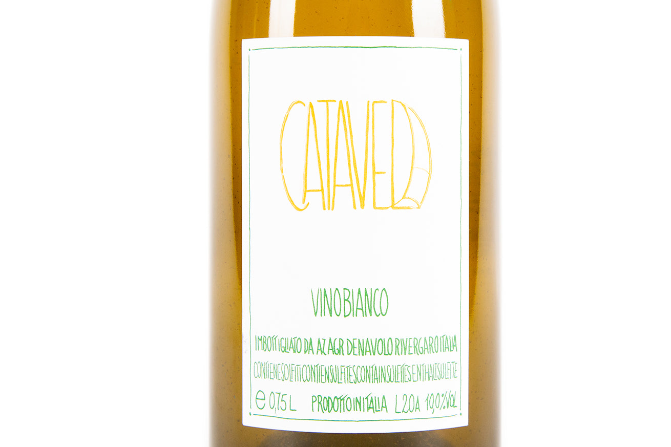 Catavela 2023