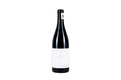 claus preisinger, zweigelt kieselstein 2020, zweigelt, austria, vino natural, vino tinto, natural wine, vino austriaco, tienda de vino, tienda online de vino, comprar vino, salvaje vinos