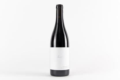 Blaufrankisch Kalkstein 2023